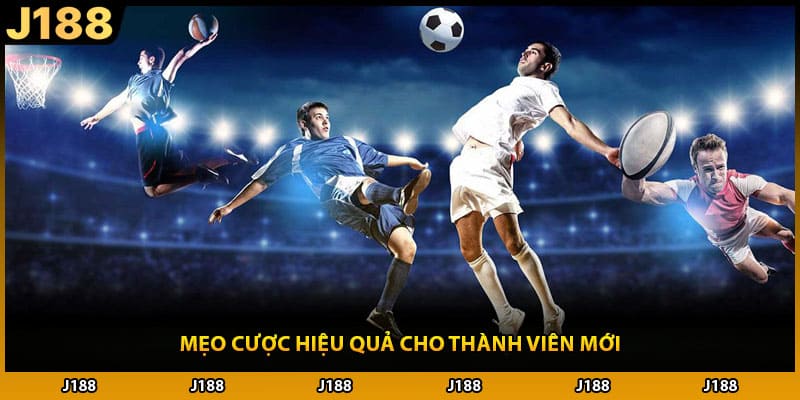 Mẹo cược hiệu quả cho thành viên mới